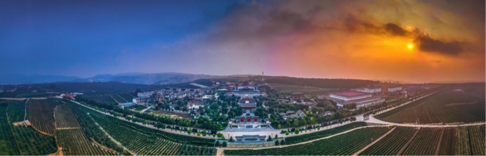 Asian Fine Wines