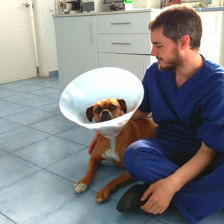 Centro Clínico Veterinario UNO + de la familia