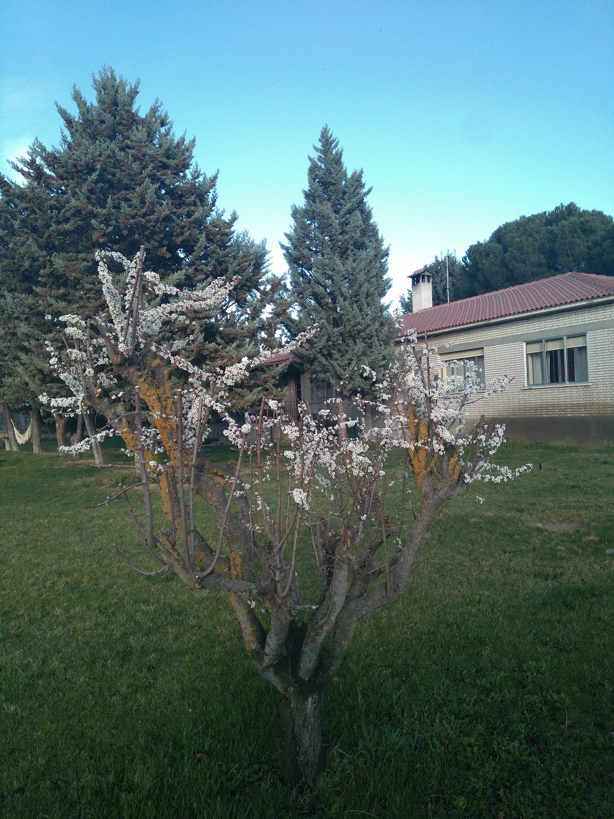 La Casa de Arroyo