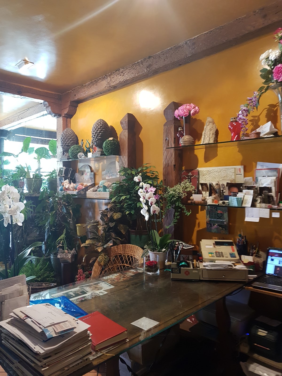 El Caloco Flores y Plantas