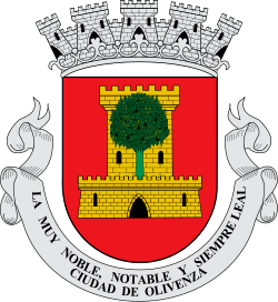 Escudo de 
<span>San jorge de alor</span>
