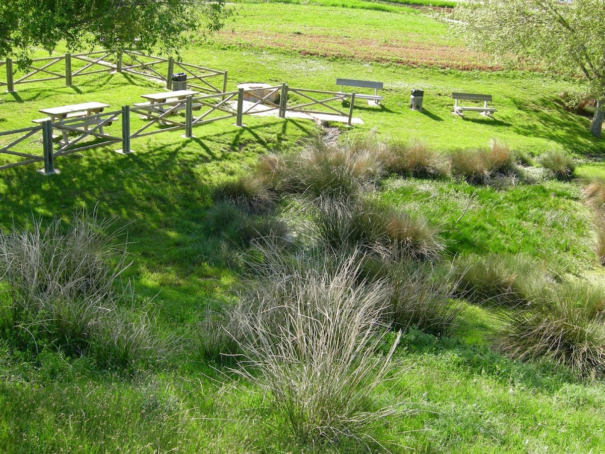 Fuente de los Anillos