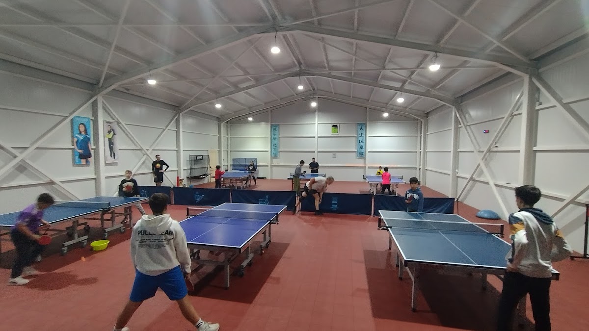 C.D. Seghos - Tenis de Mesa Segovia