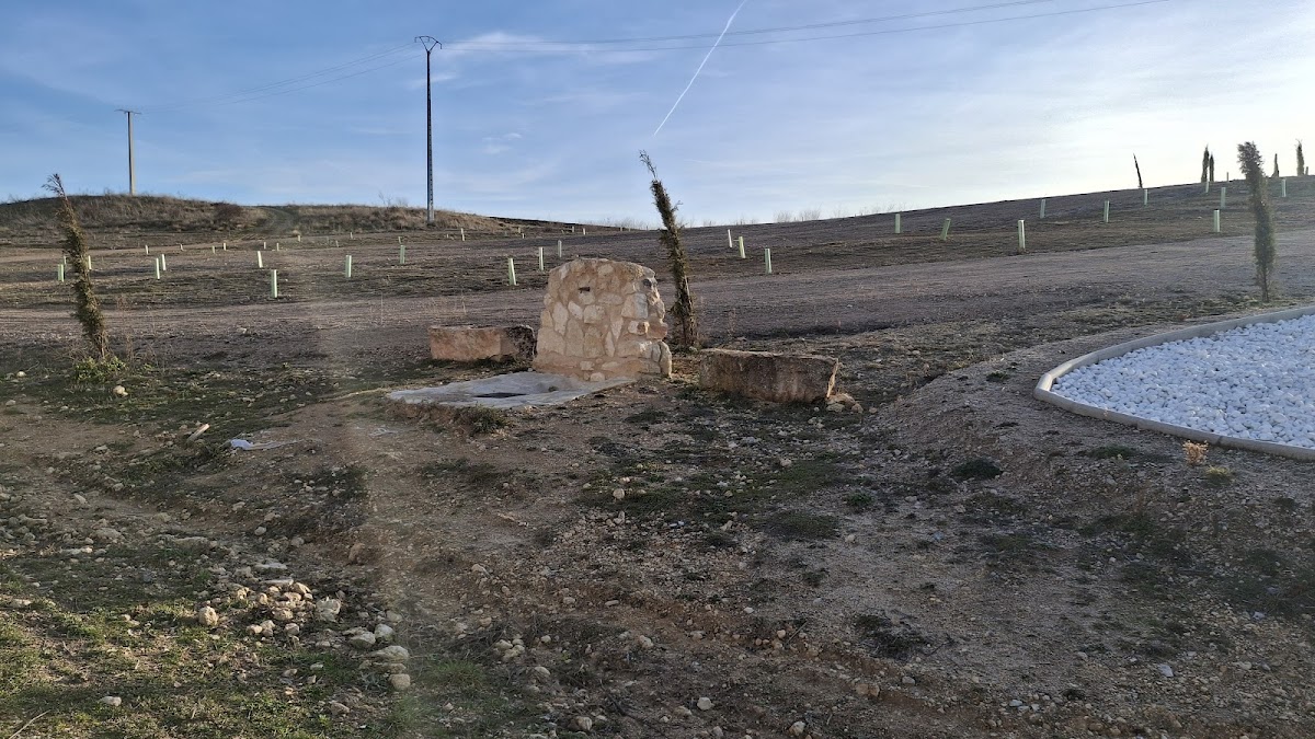 Plantación Bernuy