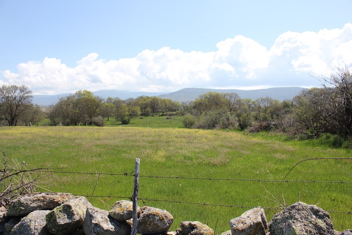 Río Cigüiñuela, Cabanillas Del Monte, Spain