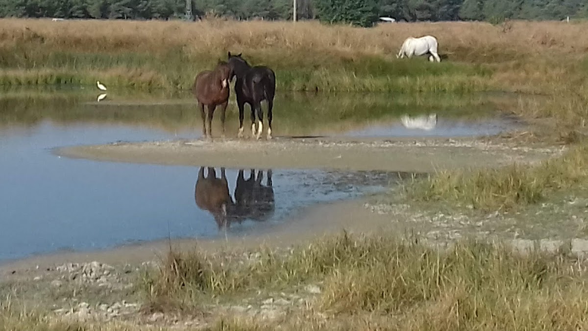 Lagunas Arroyo de Cuéllar
