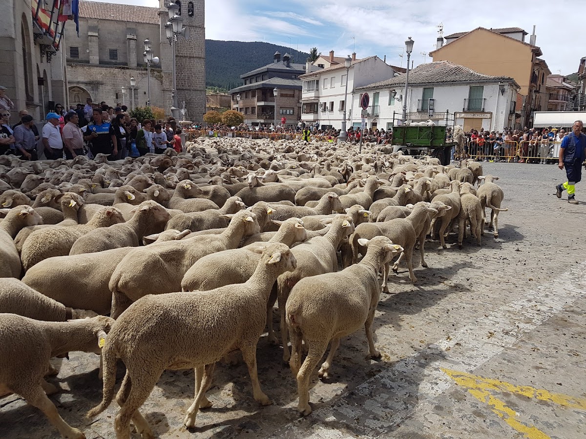 Ayuntamiento de El Espinar