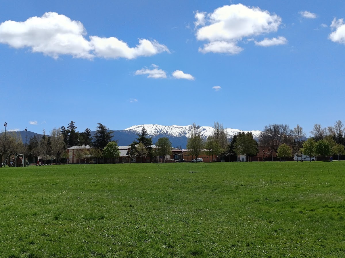 Campo fútbol del parque
