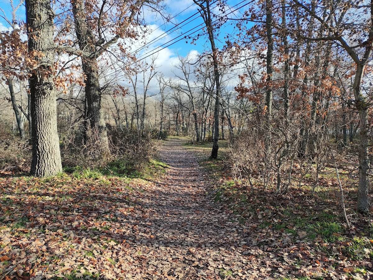 La Granja Paseo