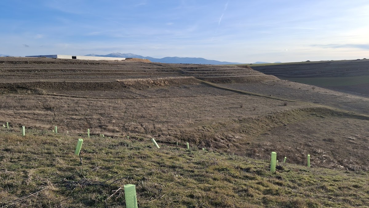 Plantación Bernuy