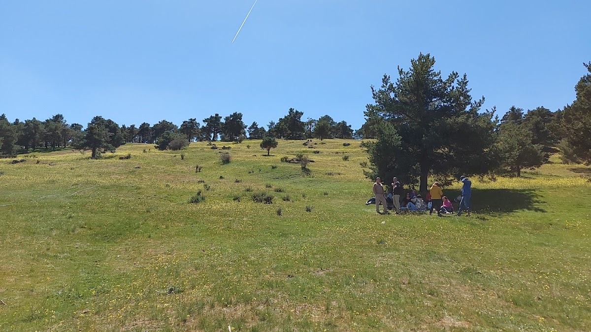 Cerro de la Olla