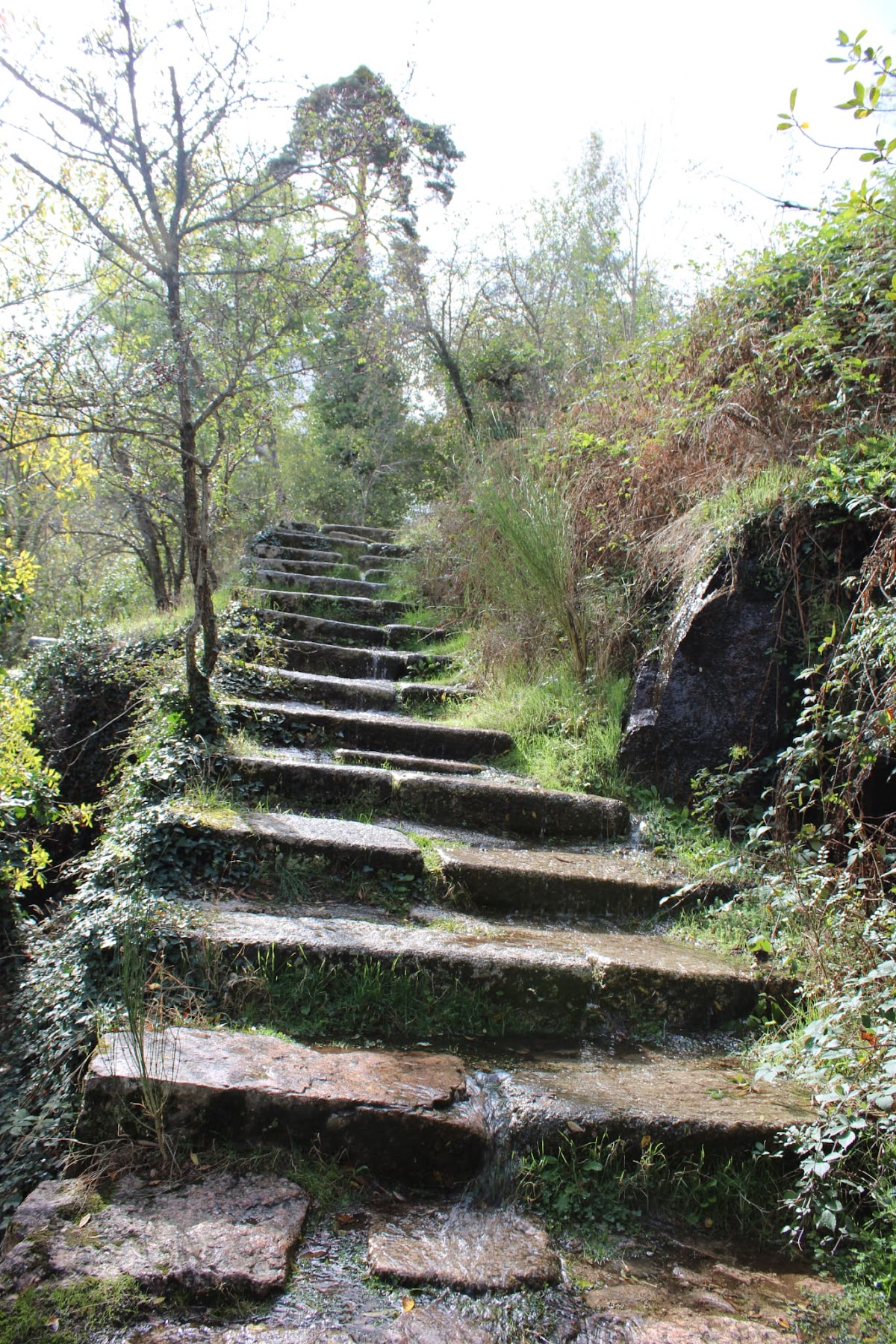 Sendero de los Reales Sitios a Valsaín