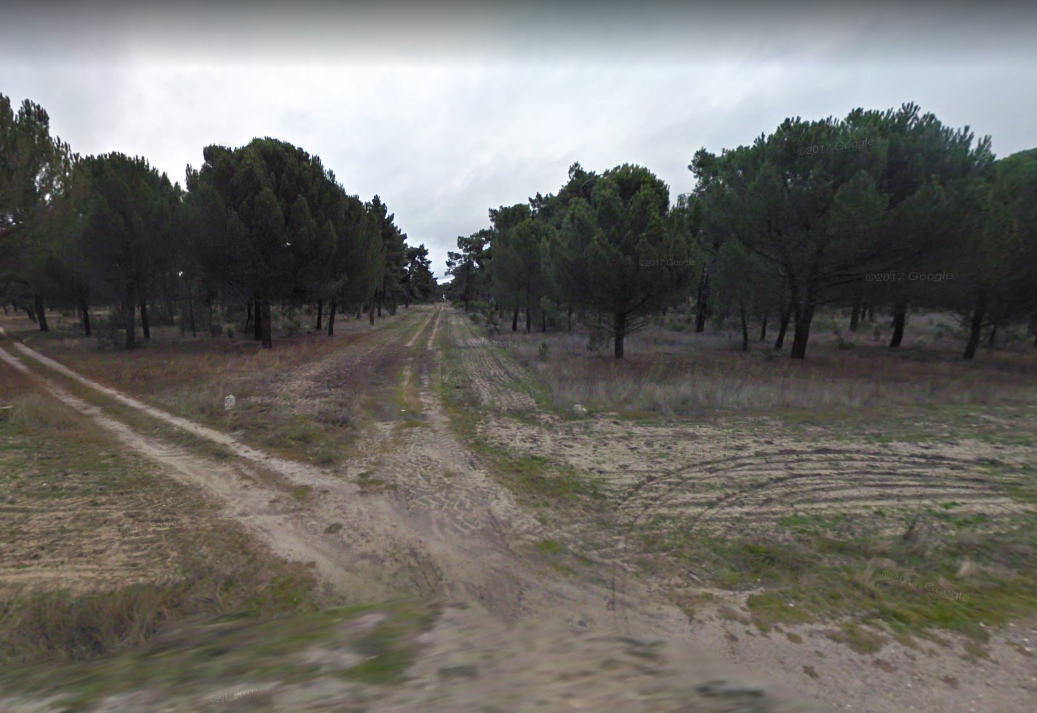 Pista de Petanca