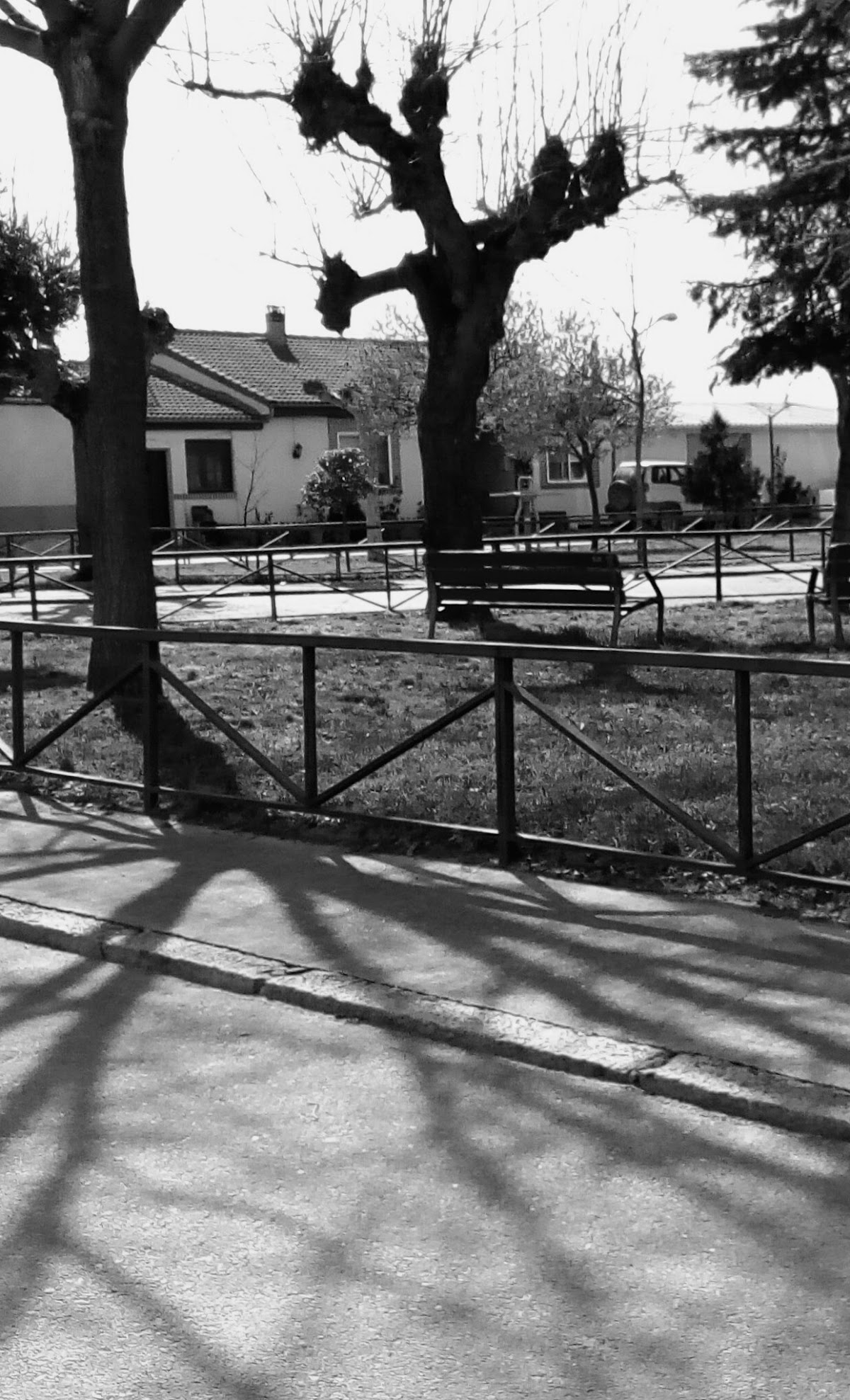 Parque