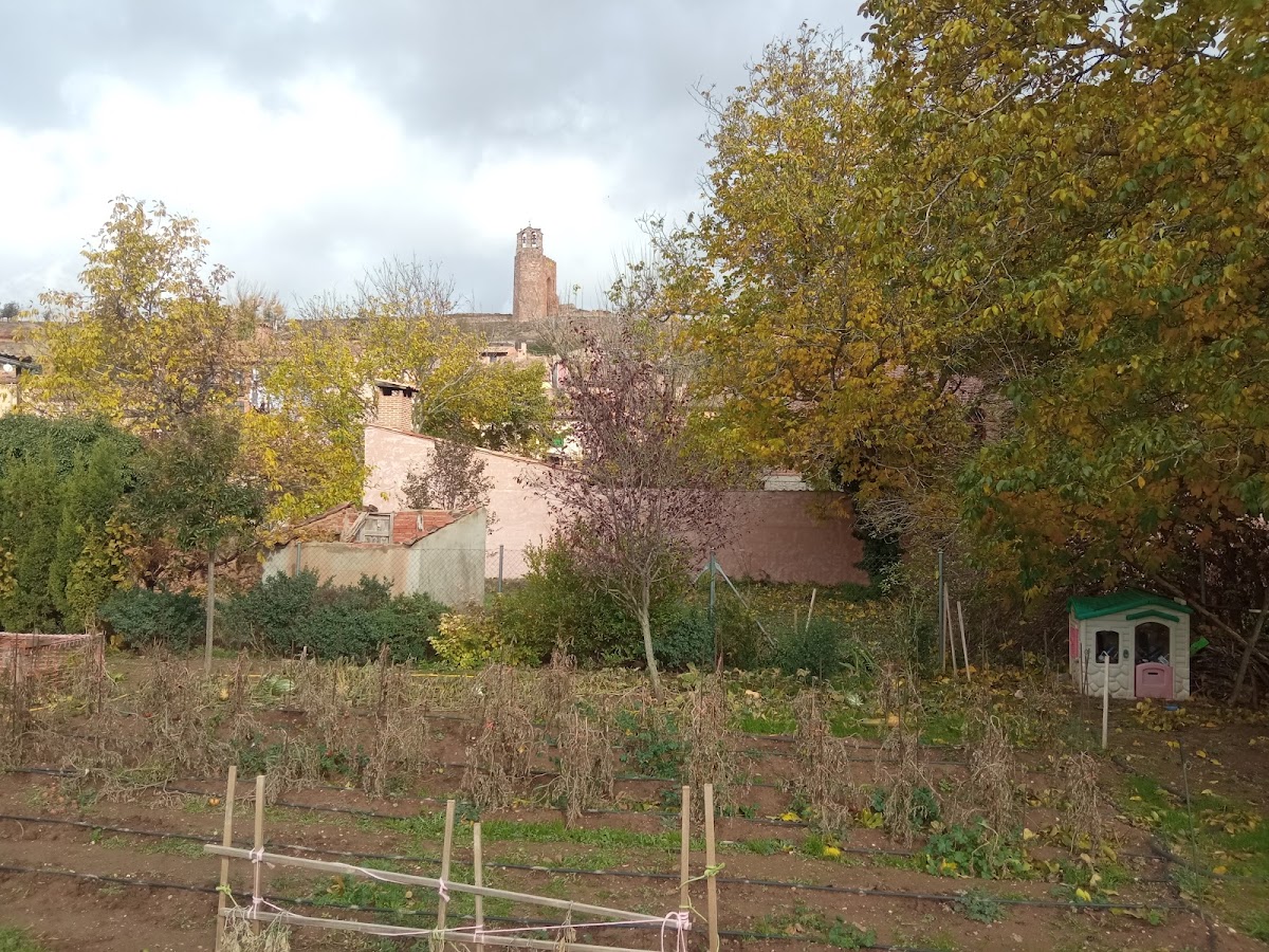 Restos de la Iglesia de San Martín
