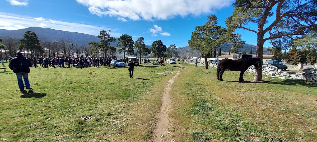 Parque El Pinarillo