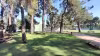 Complejo Polideportivo "Parque 100"